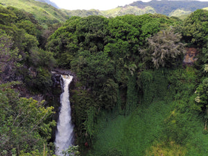 Naturprodukte aus Hawaii
